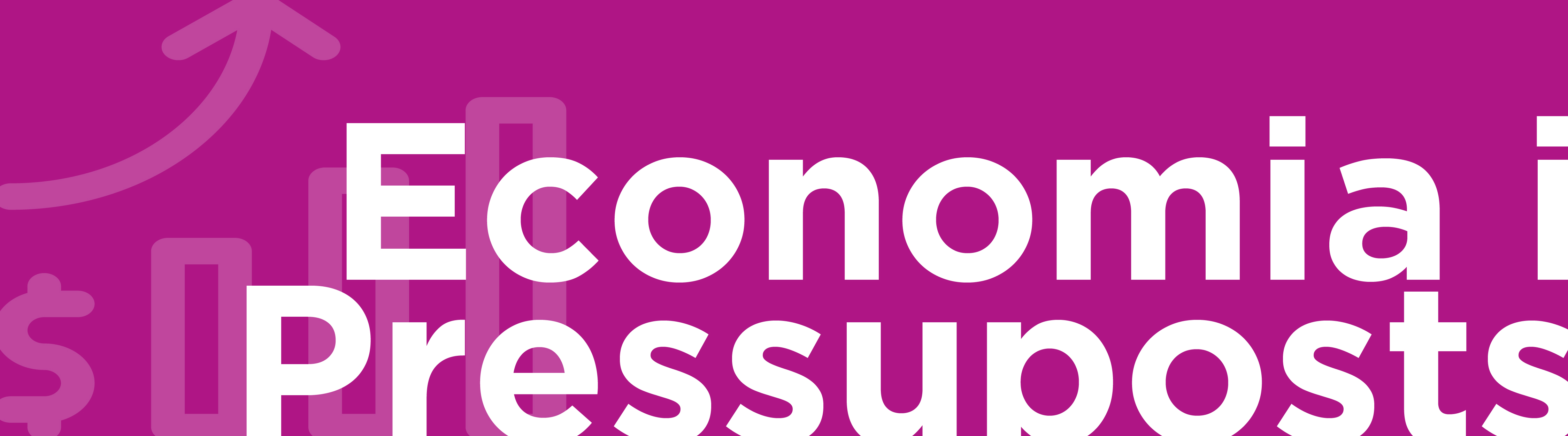 Economía i presupuesto-01